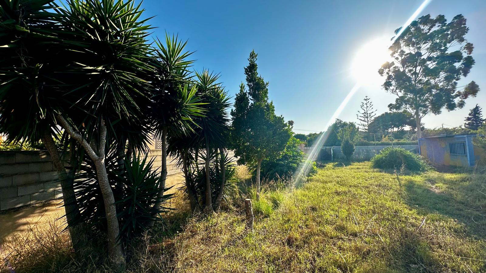 PLOT FOR SALE