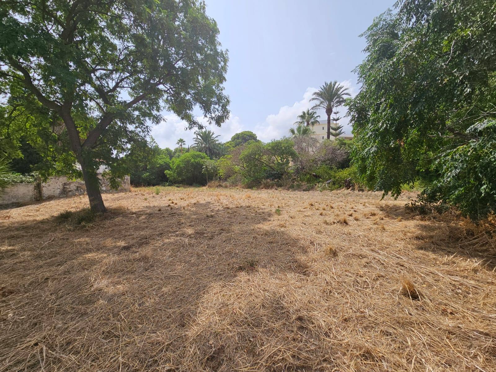 Land at Las Rotas, Denia