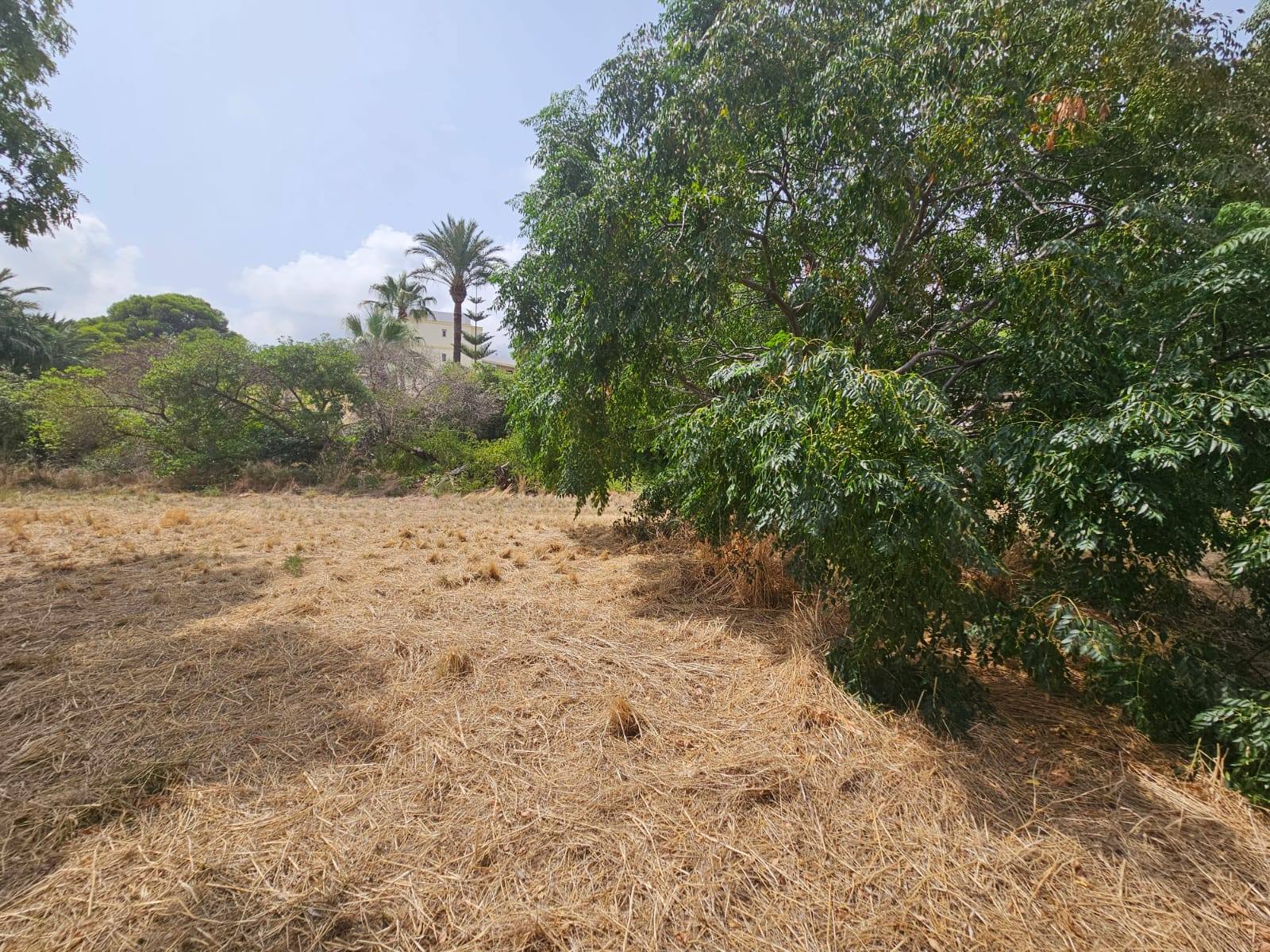 Land at Las Rotas, Denia