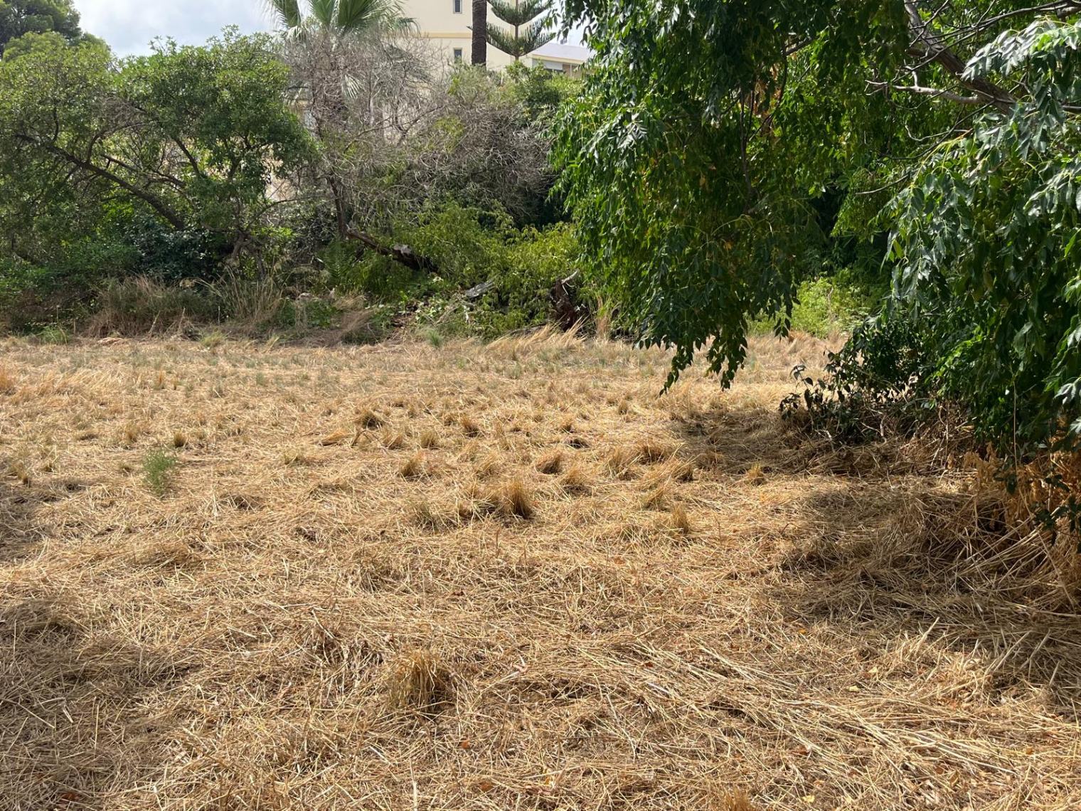 Land at Las Rotas, Denia