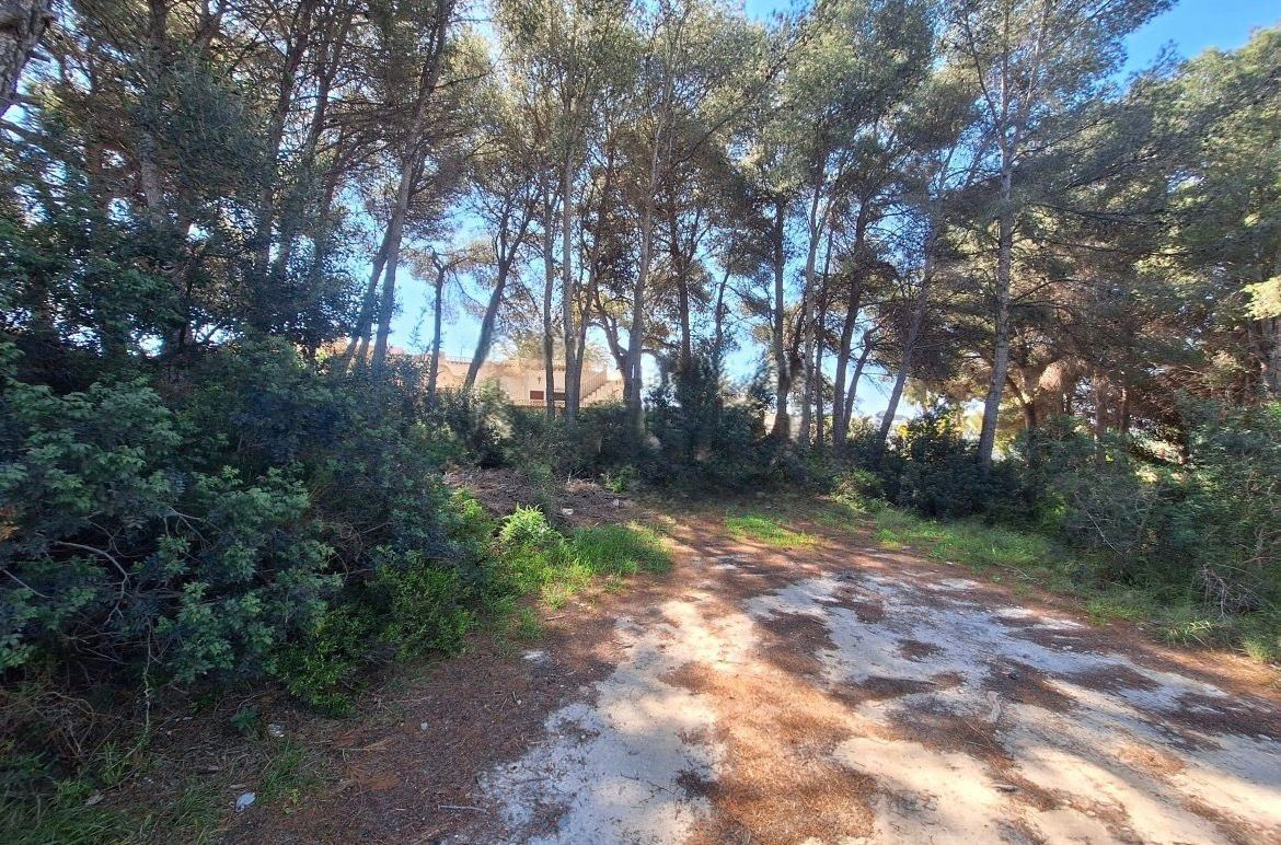 Exclusive plot with sea and Montgó views in a privileged location.