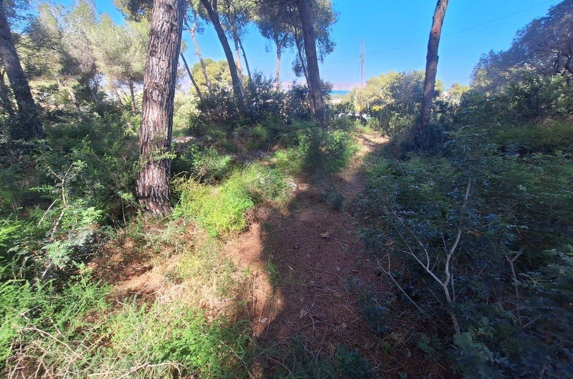 Exclusive plot with sea and Montgó views in a privileged location.
