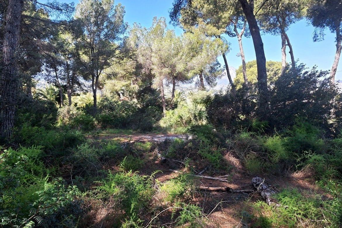 Exclusive plot with sea and Montgó views in a privileged location.