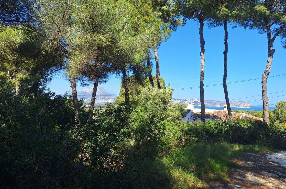 Exclusive plot with sea and Montgó views in a privileged location.