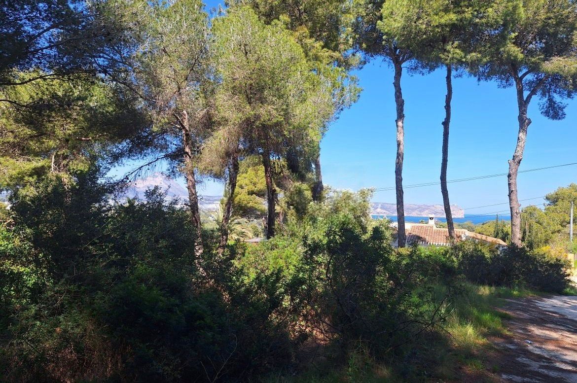 Exclusive plot with sea and Montgó views in a privileged location.
