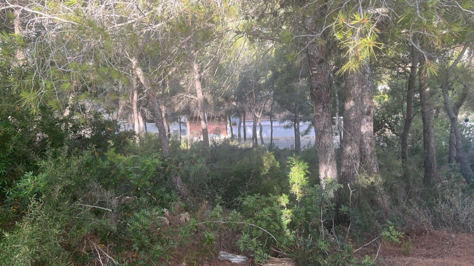 Parcelle avec vue sur la mer et permis accordé à Moraira