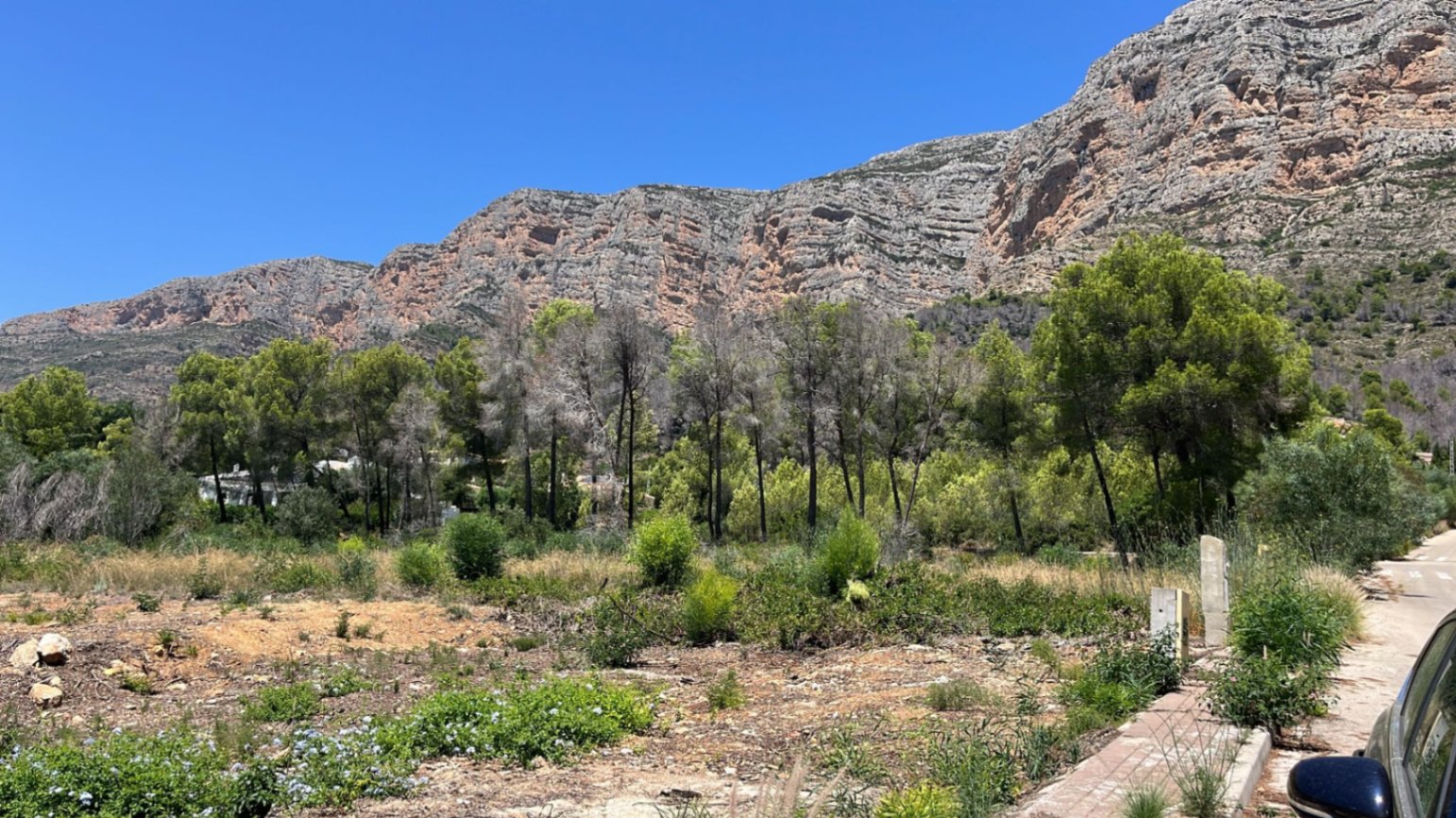 CP1038 - Terrain à Jávea – Zone Montgó, exposition sud et vues panoramiques
