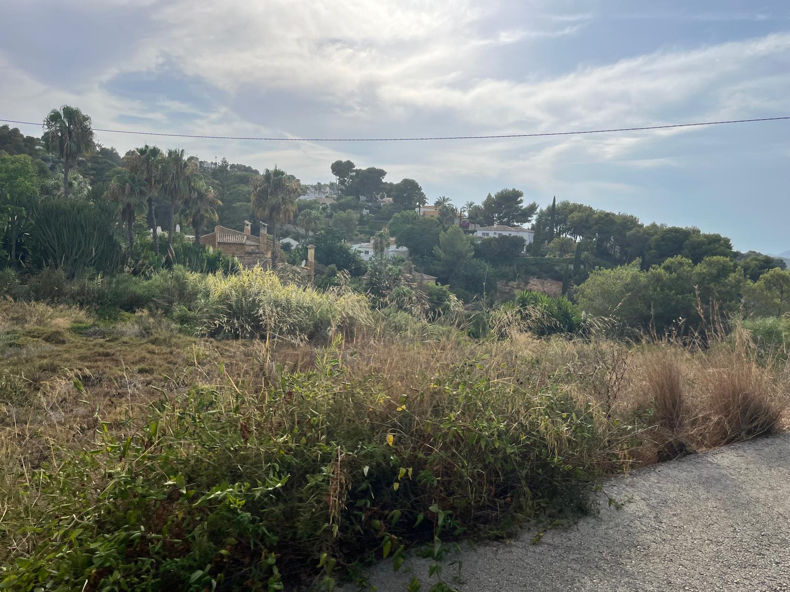 EKSJONSPARSELL MED HAVUKE, COSTA NOVA, JAVEA