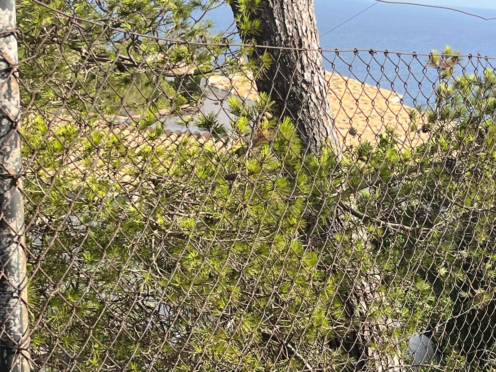 PARCELA MED ÖPPEN HAVSUTSIKT, COSTA NOVA, JAVEA