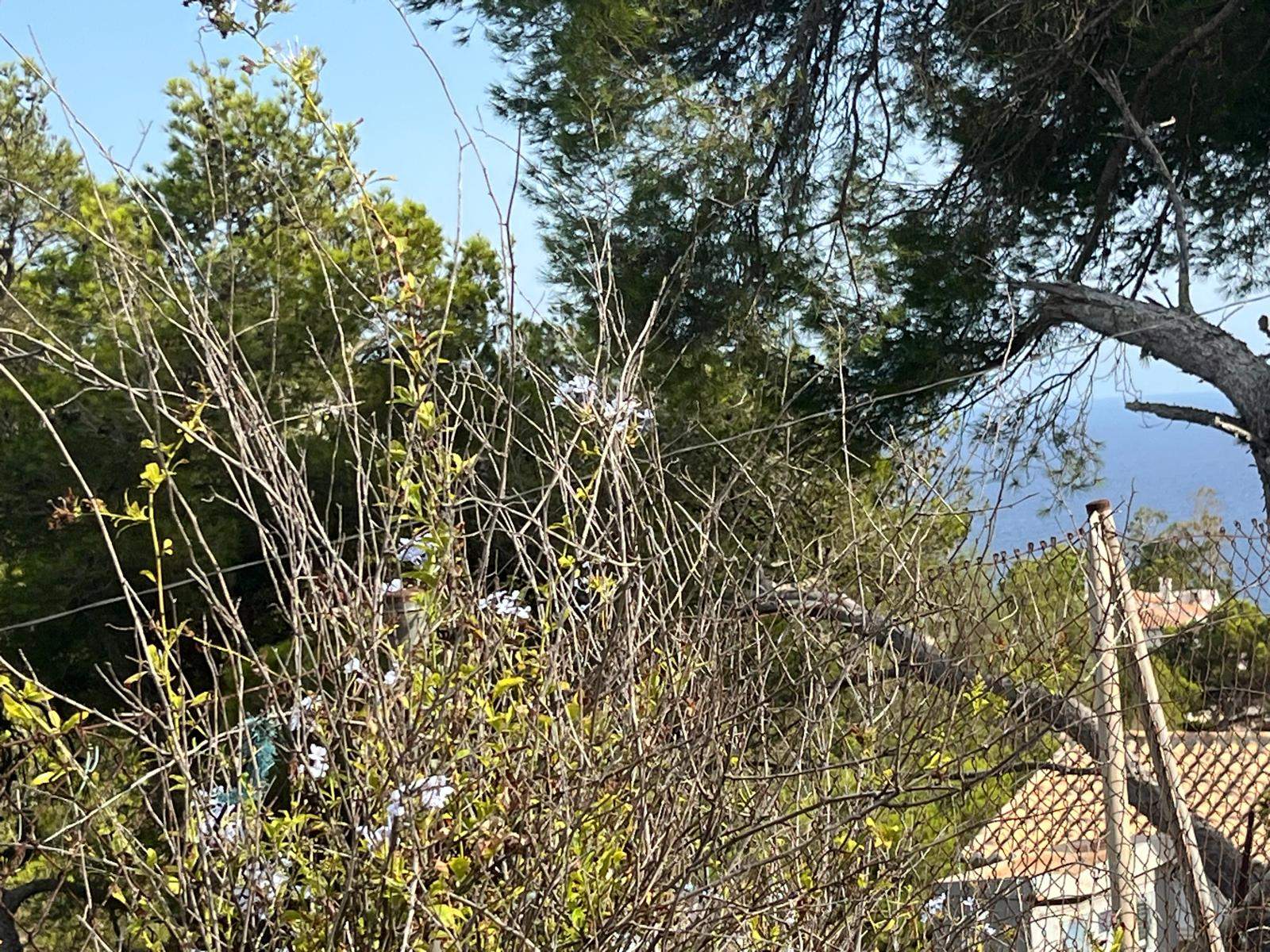 PARCELA MED ÖPPEN HAVSUTSIKT, COSTA NOVA, JAVEA